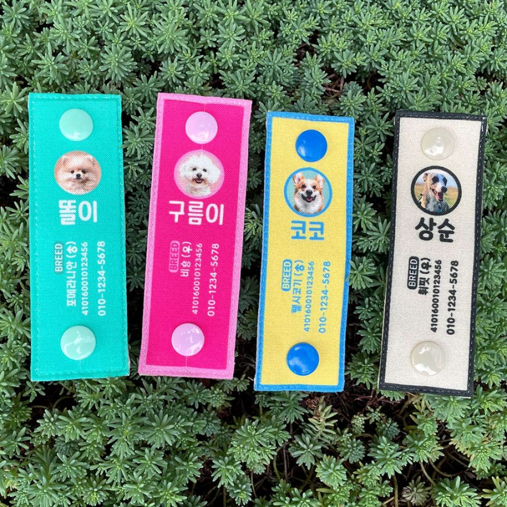 미니 네임택 강아지 인식표