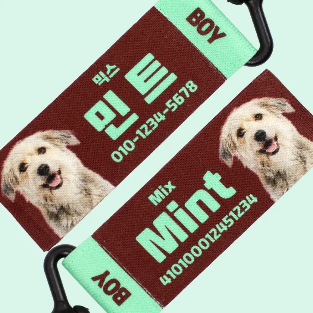 강아지 인식표 오리지널 초코민트