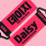 강아지 인식표 텍스트 핫핑크 썸네일