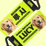 강아지 인식표 오리지널 라이트그린 썸네일