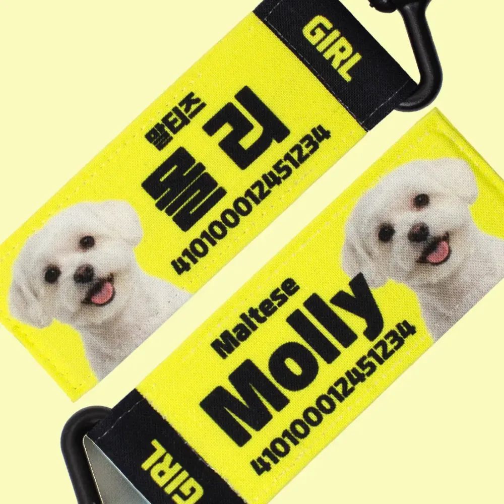 강아지 인식표 오리지널 라이트옐로우