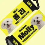 강아지 인식표 오리지널 라이트옐로우 썸네일