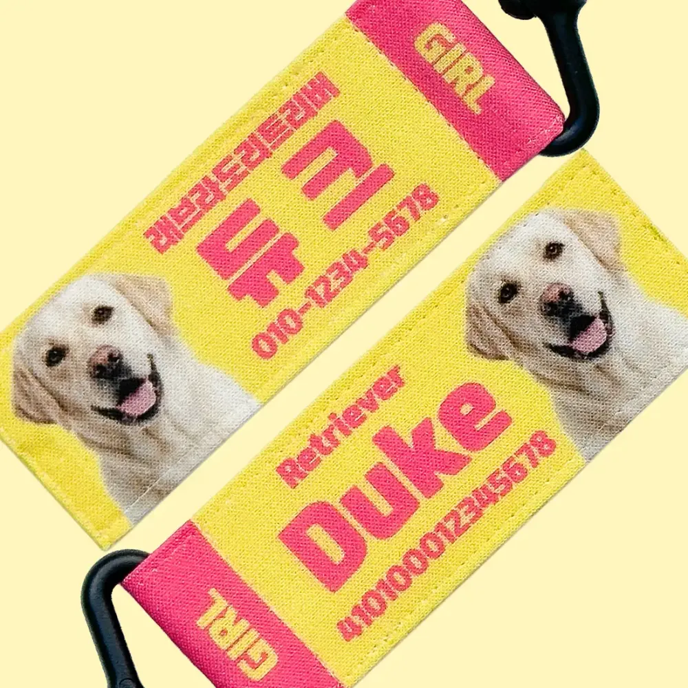 강아지 인식표 오리지널 버터핑크