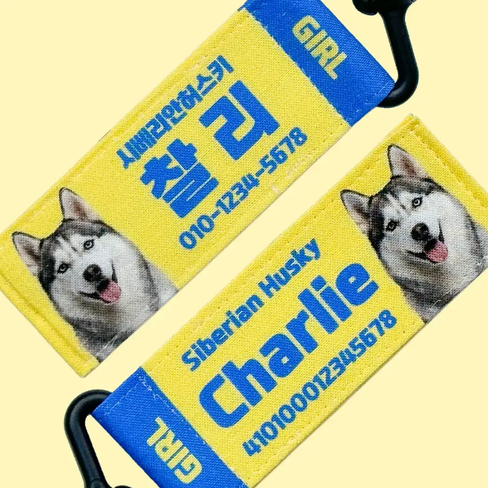 강아지 인식표 오리지널 버터블루