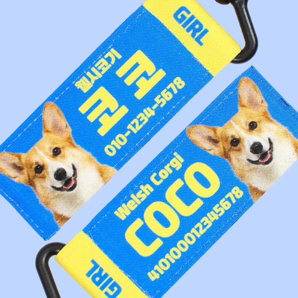강아지 인식표 오리지널 블루버터