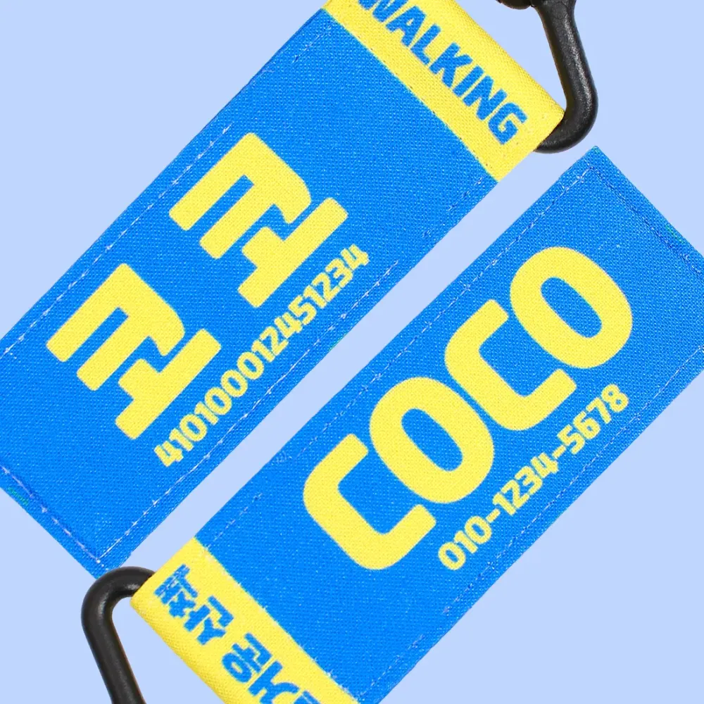 강아지 인식표 텍스트 블루버터